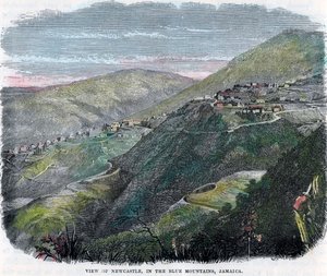 Blick auf Newcastle, in den Blue Mountains, Jamaika, ca. 1880 von Unbekannt