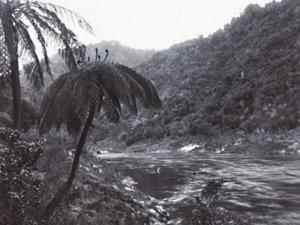 Wanganui-Fluss, spätes 19. - frühes 20. Jahrhundert