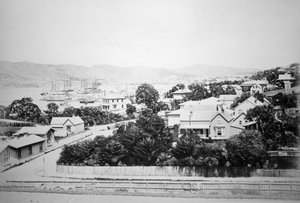 Wellington, Neuseeland, 1875