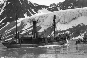 Walfang, Magdalenenbucht, Spitzbergen, Norwegen, 1929 von Unbekannt