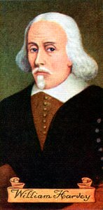 William Harvey, aus einer Serie von Zigarettenkarten, 1935 von Unbekannt