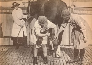 Frauen als Hufschmiede im Pferdekrankenhaus einer großen Speditionsfirma, um 1916, 1935 von Unbekannt
