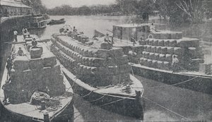 Wollkähne auf dem Murray River, 1923 von Unbekannt
