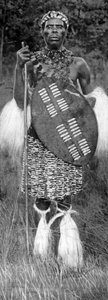 Zulu-Häuptling, 1926 von Unbekannt