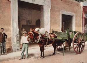 Ein Maultierkarren in Havanna geführt von einem Verkäufer von Unbekannt