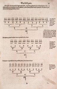 Eine einfache und leichte Einführung in die praktische Musik von Unbekannt
