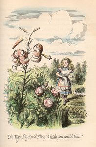 Alice im Wunderland & Durch den Spiegel, von Lewis Carroll, illustriert von John Tenniel von Unbekannt