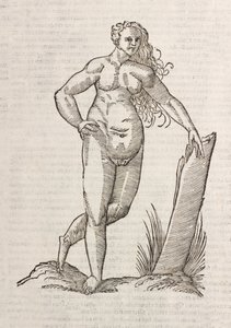 Androgynos von Unbekannt