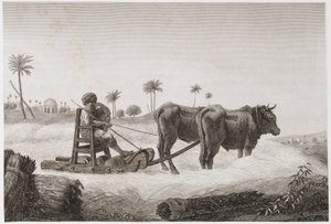 Ackerbau, Erntemaschine, Ägypten, ca. 1798