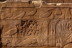 Botanischer Garten von Thutmosis III. mit Reliefdarstellungen von Pflanzen und Tieren, Karnak-Tempel, Luxor, Theben, Ägypten von Unbekannter Künstler