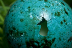 Ausgebrochen von Unbekannter Künstler
