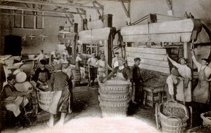 Champagne: Traubenpressen im Erntehaus Saint-Helene, Moet & Chandon Epernay Haus von Benjamin Baud