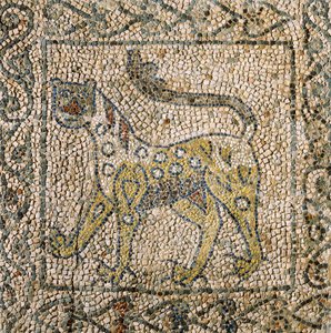 Kirche des Heiligen Johannes Evangelist, Vierter Kreuzzug, Fragmente von Mosaikböden, die einen gefleckten Panther darstellen, Ravenna, Emilia-Romagna, Italien von William M. Timlin