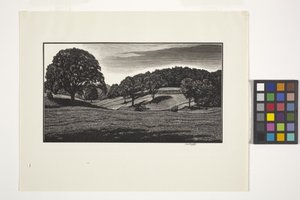Landschaftsszene von Unbekannter Künstler