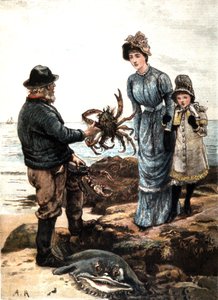 Krabbenfischen an der englischen Küste