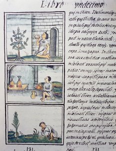 Essbare Pflanzen, Seite aus Buch XI des Florentiner Kodex, zweisprachige Version in Spanisch und Nahuatl, Allgemeine Geschichte der Dinge von Neuspanien, von Fray Bernardino de Sahagun von William M. Timlin
