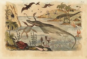 Ausgestorbene Dinosaurier, Ichthyosaurier, Plesiosaurier, Meerestiere, Pterodaktylen, Eidechsen, Schildkröten, Insekten, Fische, Tintenfische, Mollusken usw. von Unbekannt