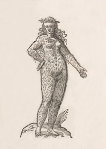 Frau des Cinnaminiae-Stammes von Unbekannt