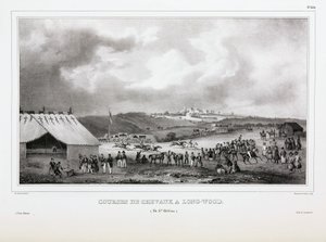 Pferderennen in Longwood, St. Helena