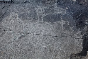 Indische Petroglyphen - Tier- und symbolische Darstellungen - Petroglyph National Monument - Albuquerque, New Mexico, USA von William M. Timlin