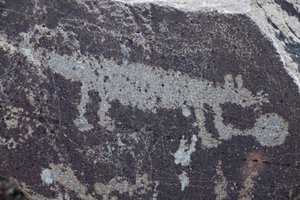 Indische Petroglyphen, die Tiere darstellen - Petroglyph National Monument - Albuquerque, New Mexico, USA von William M. Timlin