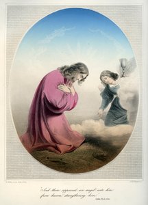 Jesus betet im Garten - Bibel, Neues Testament