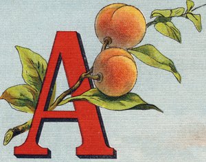 Buchstabe A: Aprikose. Gravur in "Alphabet de ma petite fille". Bernardin-Bechet und Fils, Buchhändler-Verleger, Paris, um 1895.
