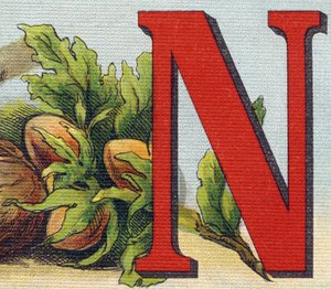 Buchstabe N: Haselnüsse. Gravur in "Alphabet de ma petite fille". Bernardin-Bechet und Fils, Buchhändler-Verleger, Paris, um 1895.