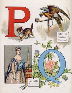 Buchstabe P und Q: kleines Kätzchen, Barsch, Papagei und Quenet, die rechte Fee. Gravur in "ABC L