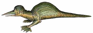 Meeresdrache (Draco marinus), Xylographie aus Paralipomena accuratissima historiae omnium animalium quae in voluminibus Aldrovandi desiderantur/Bartholomaeus Ambrosinus... summo labore collegit; Marcus Antonius Berna bibliopola bononiensis propri