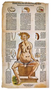 Medizin: anatomische Tafel, die die weibliche Anatomie aus einem Renaissance-Medizinbuch beschreibt. Um die Figur einer sitzenden Frau sind lebenswichtige Organe wie Leber, Lunge und Zwerchfell, Magen und Fortpflanzungsapparat aufgelistet und illustriert. 
