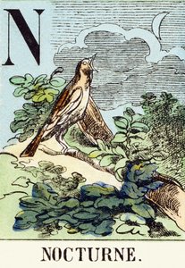 N : Nacht - Das Jagdalphabet, ca. 1890 (Gravur)