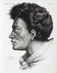 Natai, Maori-Häuptling aus Bream Bay, Neuseeland von Unbekannt