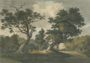 Needwood Wald: Aquarell, undatiert [frühes 19. Jh.]