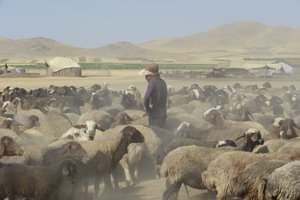Nomadenzelte zwischen Tamar und Ashkhaneh, Iran 2022
