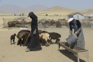 Nomadenzelte zwischen Tamar und Ashkhaneh, Iran 2022