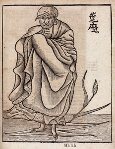 Porträt von Bodhidharma von Unbekannt