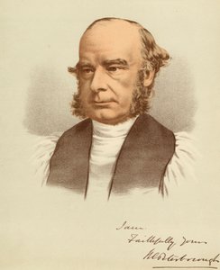 Porträt von William Magee von Unbekannter Künstler