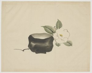 Raku-Teeschale und weiße Kamelie von Unbekannt
