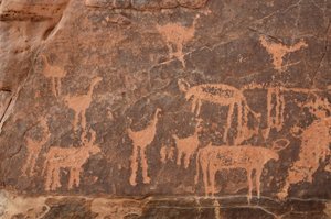 Felskunst, Vorgeschichte: Detail einer Gravur eines Sets von Straußen und Rindern im Uweinat-Massiv, Ägypten. Zeitraum von 8000 bis 3000 v. Chr. von Unbekannt
