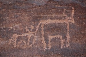 Felskunst, Vorgeschichte: Gravur einer Kuh und ihres Kalbes im Uweinat-Massiv, Ägypten. Zeitraum von 8000 bis 3000 v. Chr. von Unbekannt