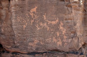 Felskunst, Vorgeschichte: Gravur einer Gruppe von Rindern, Straußen und Figuren im Uweinat-Massiv, Sudan (Karkur-Talh oder Karkur Talh). Zeitraum von 8000 bis 3000 Jahre v. Chr. Fotografie von Unbekannt