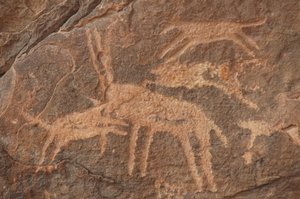 Felskunst, Vorgeschichte: Gravur einer Antilope, die von einem Rudel Hunde im Uweinat-Massiv, Ägypten, angegriffen wird (Zeitraum von 8000 bis 3000 v. Chr.). Fotografie von Unbekannt
