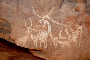 Felskunst, Vorgeschichte: Felsmalerei von Rindern mit großen Hörnern in einem geschmückten Schutzraum im Uweinat-Massiv, Sudan (Karkur-Talh oder Karkur Talh). Zeitraum von 8000 bis 3000 v. Chr. Fotografie von Unbekannt