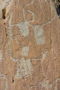 Felsgravuren des Vallee de Fontanalba/Corniformes emboites oder Rinder/Mercantour Nationalpark/Tende/Alpes-Maritimes/Frankreich von Unbekannt