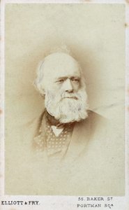Sir Charles Lyell, englischer Geologe, ca. 1865-1875 von Unbekannt