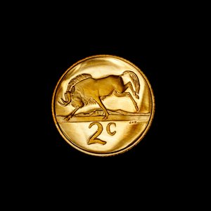 Südafrikanische 2-Cent-Münze