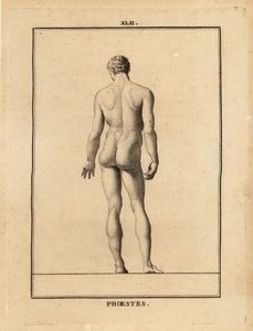 Statue von Orestes, nackt, Sohn des Agamemnon in der griechischen Mythologie von Unbekannt