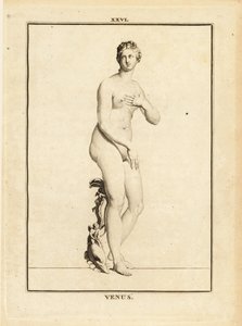 Statue der Venus, römische Göttin der Liebe, Schönheit, Sexualität und Fruchtbarkeit