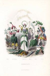 Die Blumenfeen: die Olive, schlafend in einer Baumwollmütze, die Nachtkerze, die Immortelle mit einer Krone und einer Schlangen-Aureole, der Myrte als alter Mann, der Tabak raucht die Zigarre und der Lorbeer als alter Musketier - Radierung von Charles Geof von Unbekannter Künstler